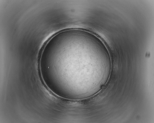 X0000090981460200708161846