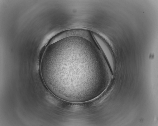 X0000090981461200708161846