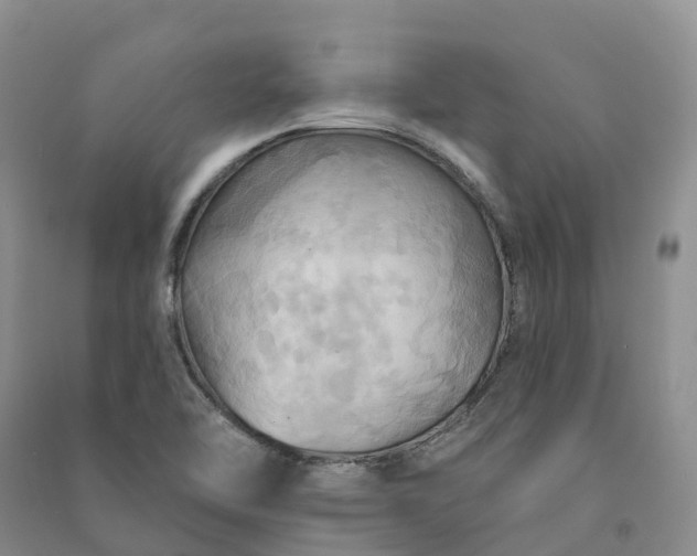 X0000090981462200708161846