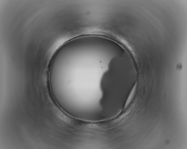 X0000090981463200708161846
