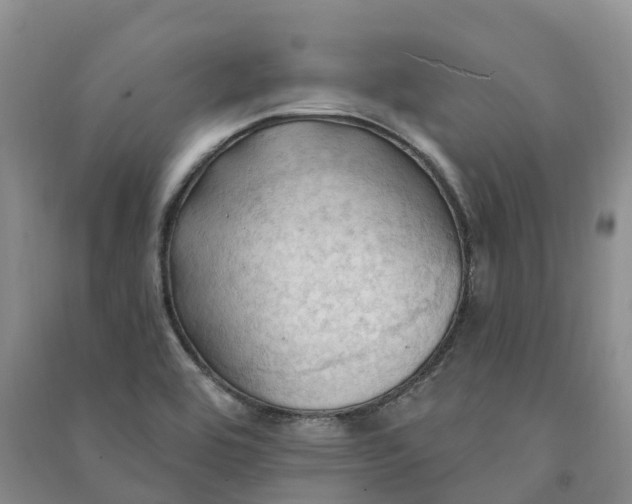 X0000090981464200708161846