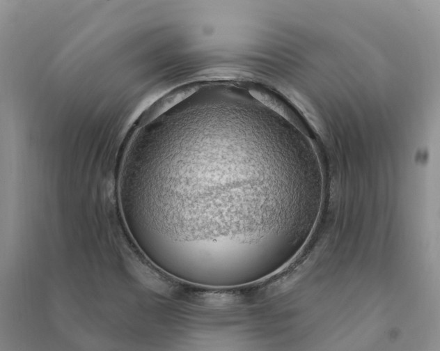 X0000090981465200708161846