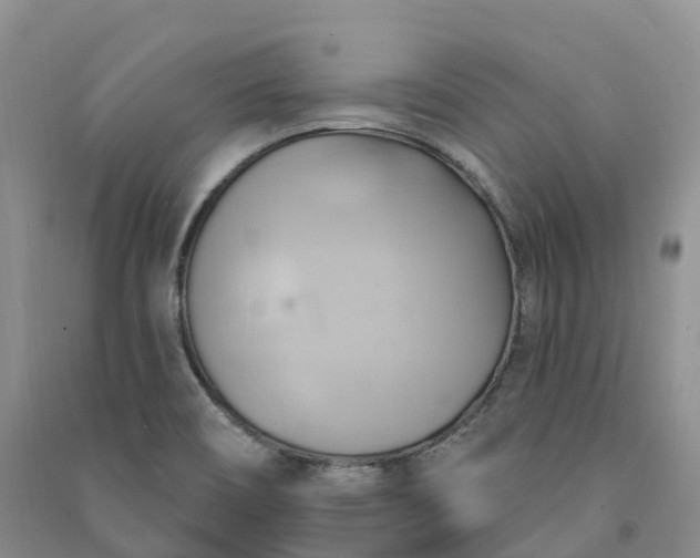 X0000090981466200708161846