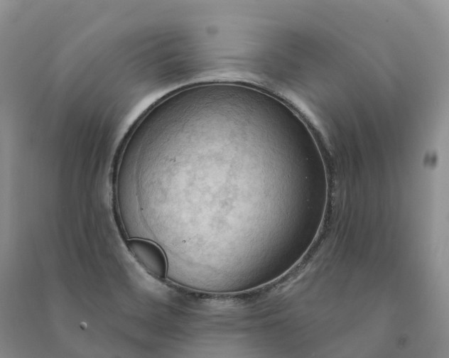 X0000090981468200708161846