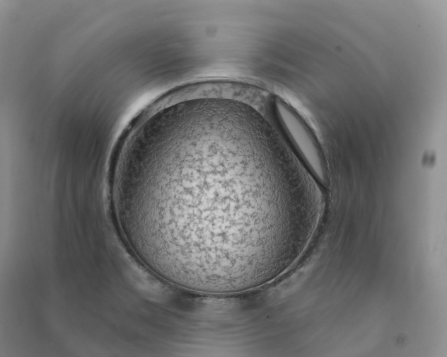 X0000090981469200708161846