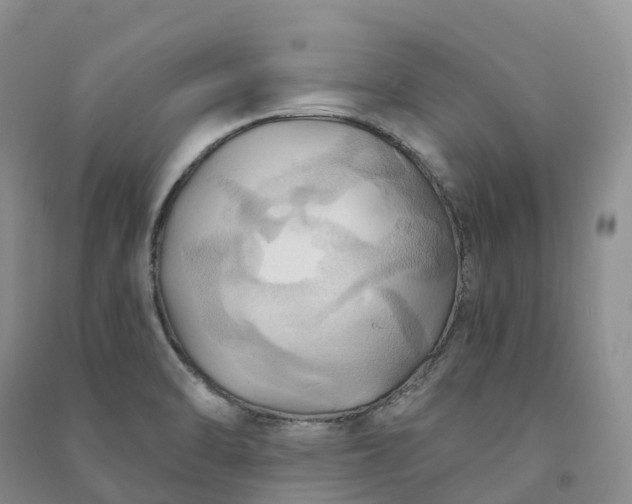 X0000090981470200708161846