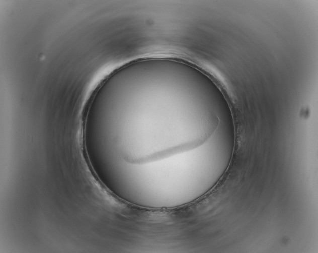 X0000090981472200708161846