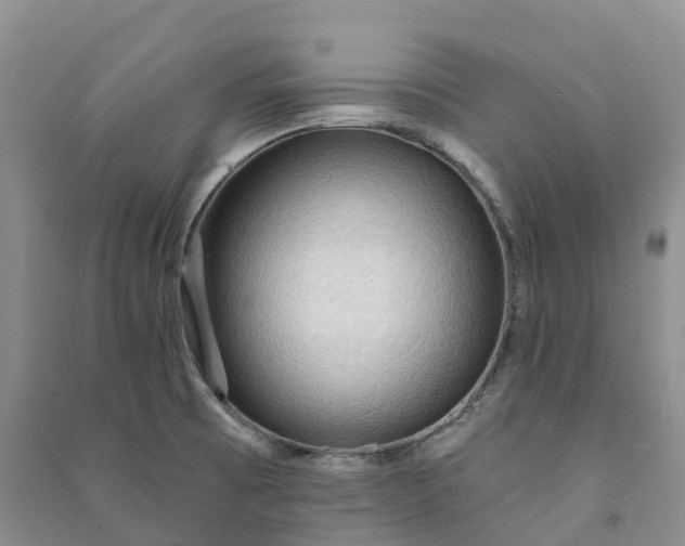 X0000090981473200708161846