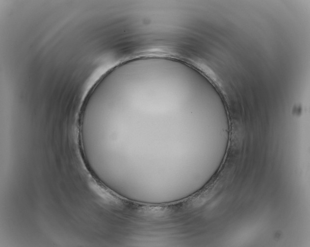 X0000090981474200708161846