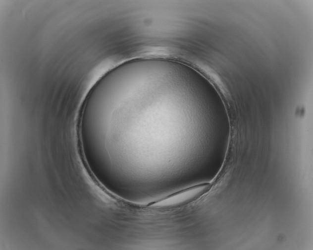 X0000090981475200708161846