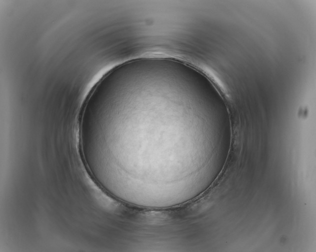 X0000090981476200708161846