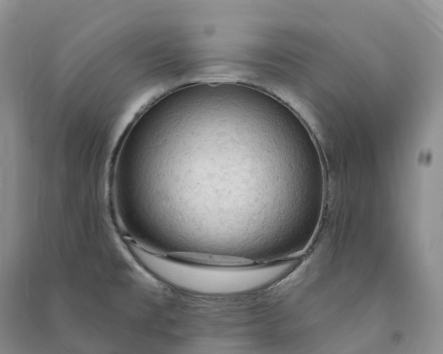 X0000090981477200708161846
