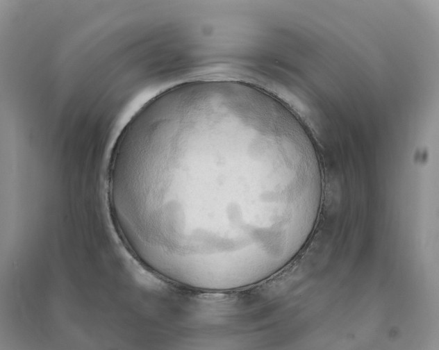 X0000090981478200708161846