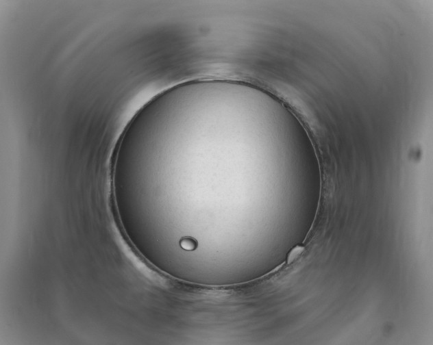 X0000090981479200708161846