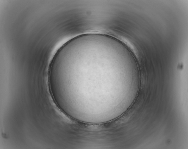 X0000090981480200708161846