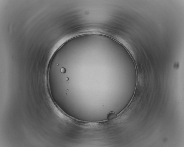 X0000090981482200708161846