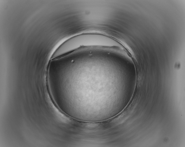 X0000090981484200708161846