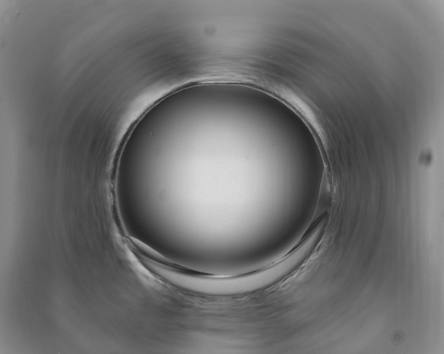 X0000090981485200708161846