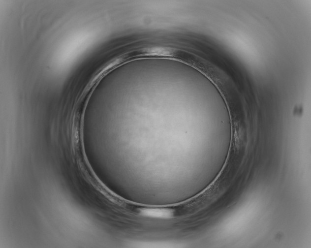 X0000090981487200708161846