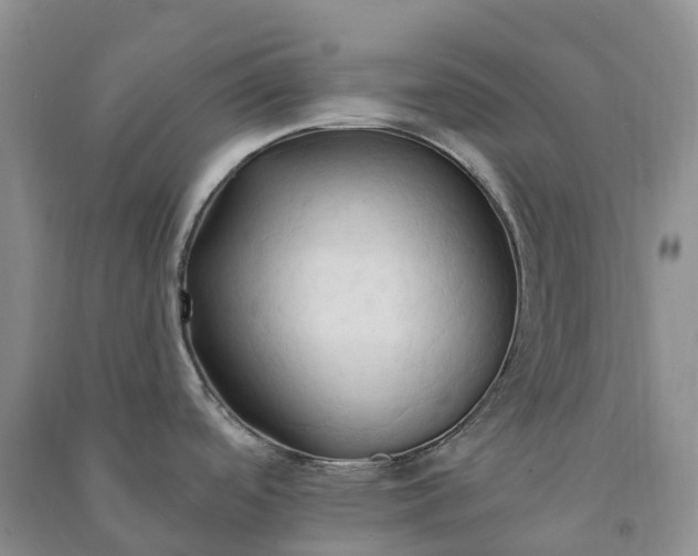 X0000090981488200708161846