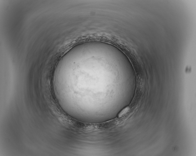X0000090981489200708161845
