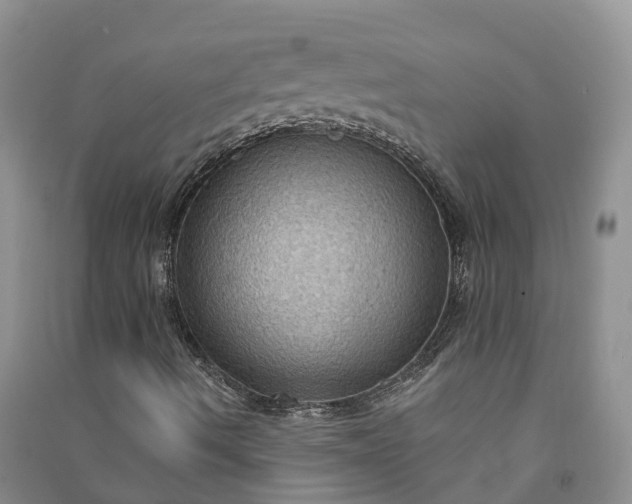 X0000090981490200708161845