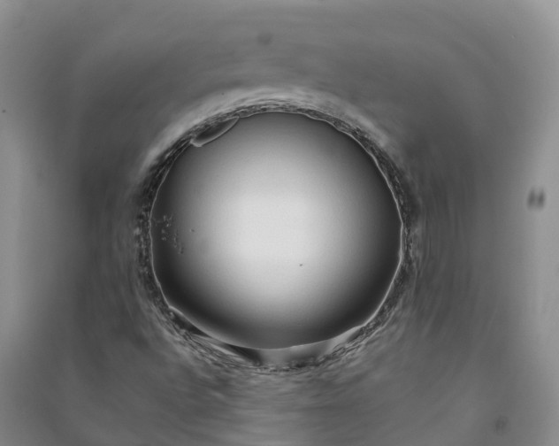 X0000090981496200708161845