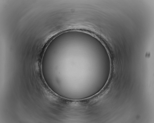 X0000090981497200708161845
