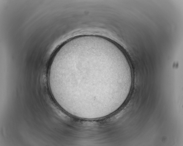 X0000090981498200708161845