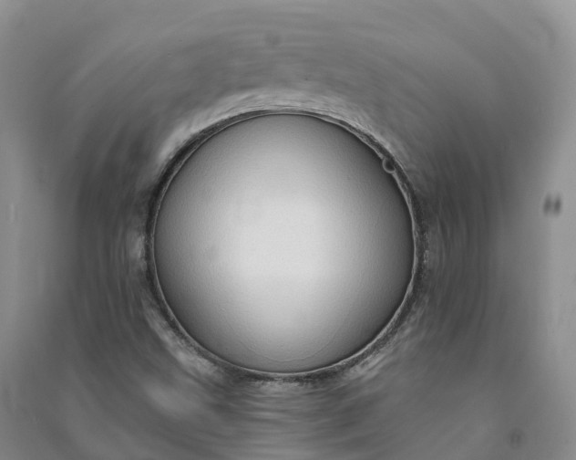 X0000090981499200708161845