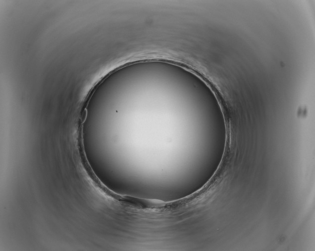 X0000090981500200708161845