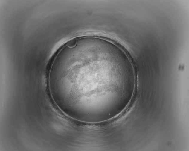 X0000090981501200708161845