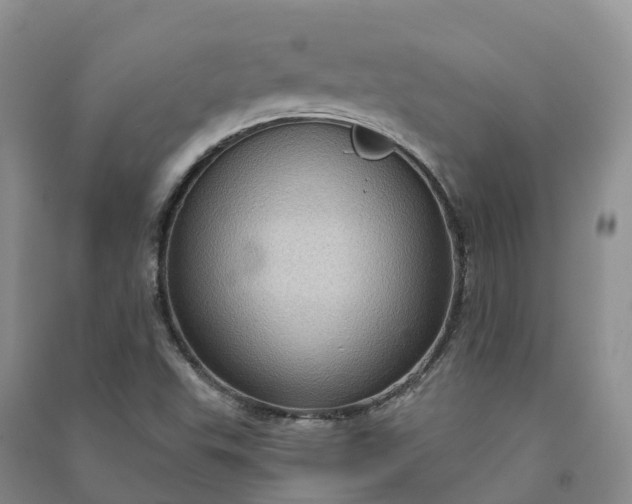 X0000090981503200708161845