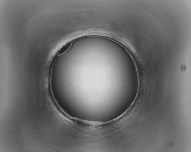 X0000090981504200708161845