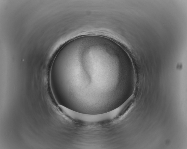 X0000090981506200708161845