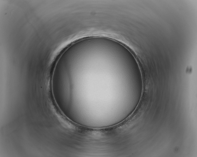 X0000090981507200708161845