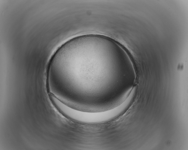 X0000090981508200708161845