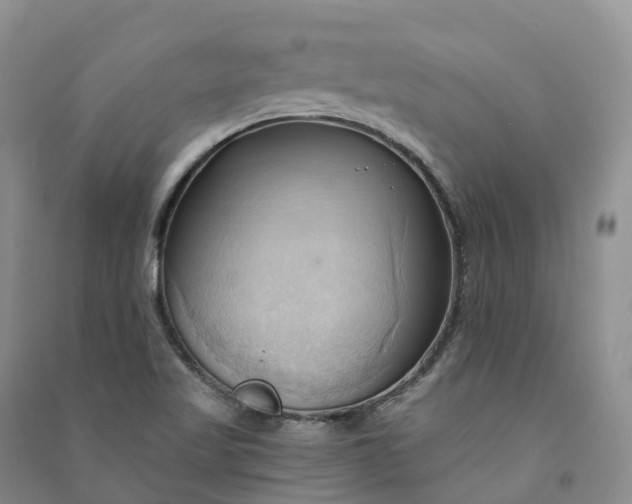 X0000090981509200708161845