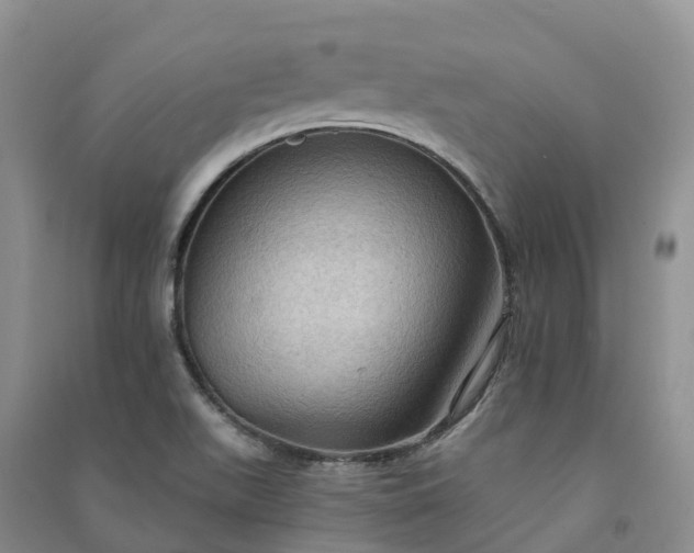X0000090981511200708161845