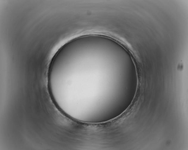 X0000090981512200708161845