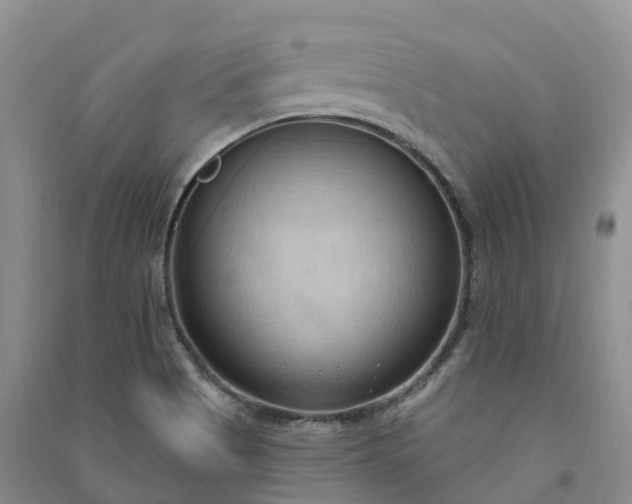 X0000090981513200708161845