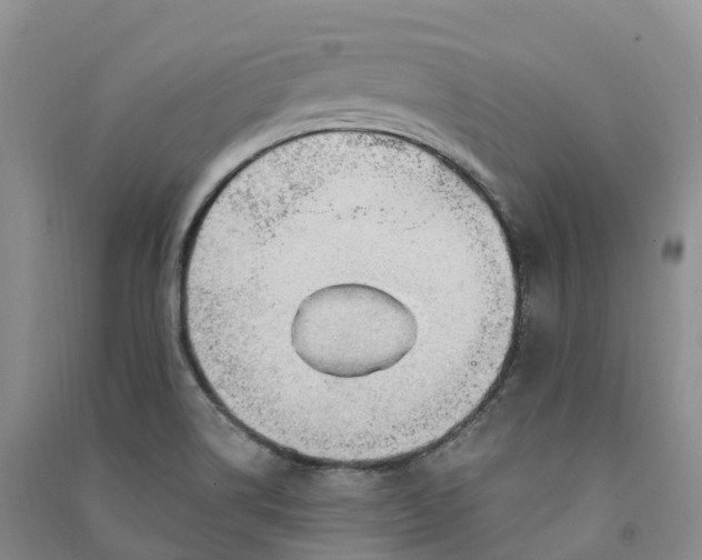 X0000090981514200708161845