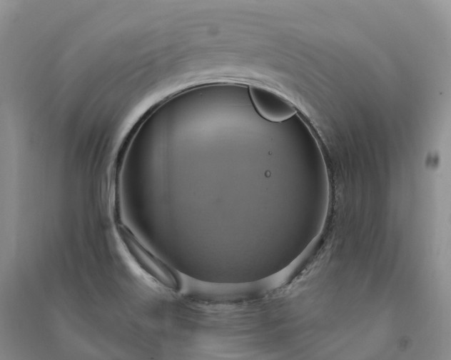 X0000090981515200708161845