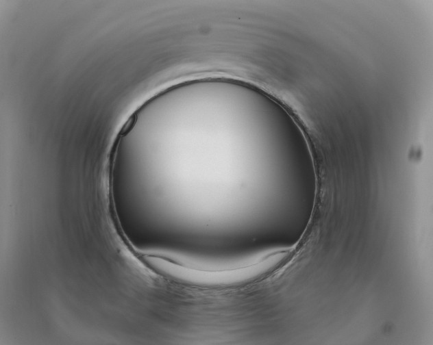 X0000090981516200708161845