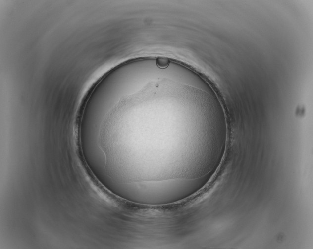 X0000090981517200708161845