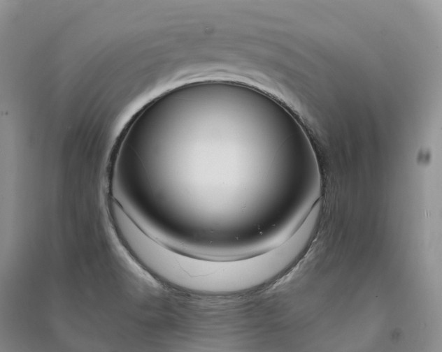 X0000090981518200708161845