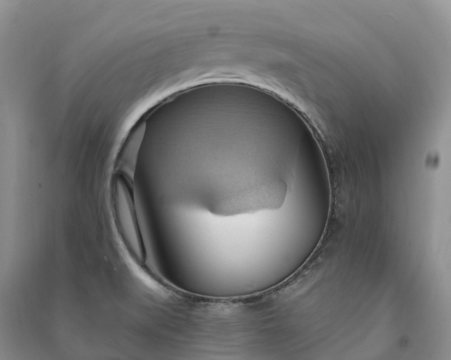 X0000090981519200708161845
