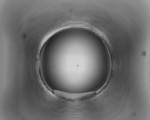 X0000090981520200708161845