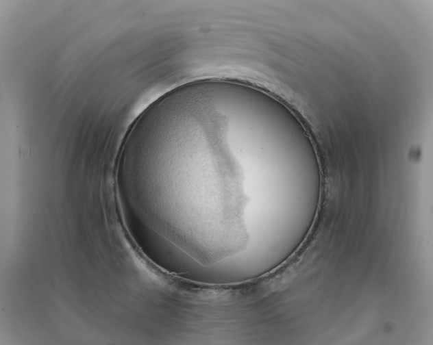 X0000090981521200708161845