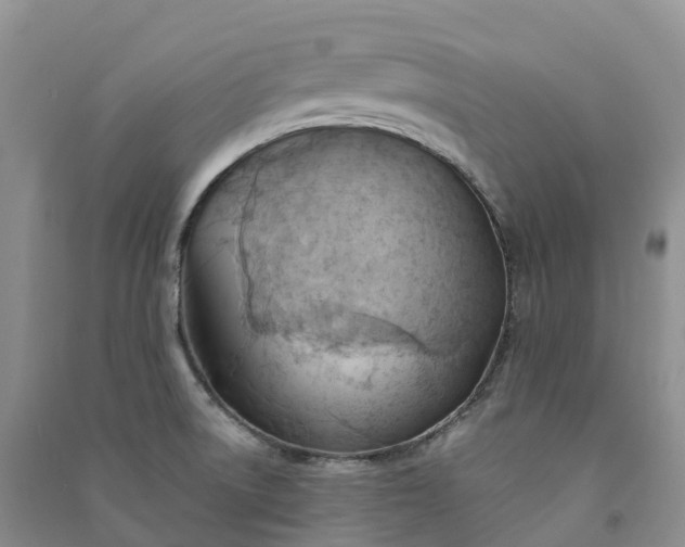 X0000090981522200708161845